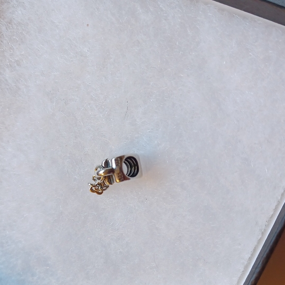 Pandora retired charm - Picture 2 of 4